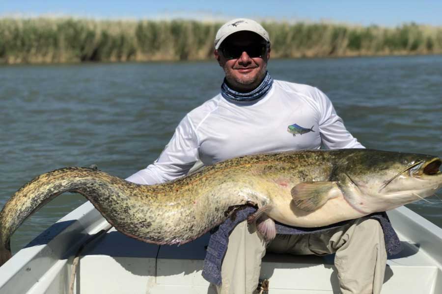 Ловля на ильмене: какая рыба водится, правила рыболовства, отзывы, видео