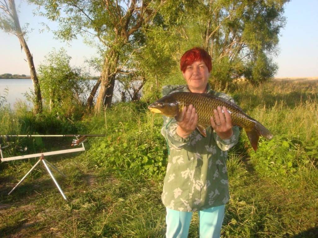 ✅ рыбалка во владимирской области - fishingopt.su