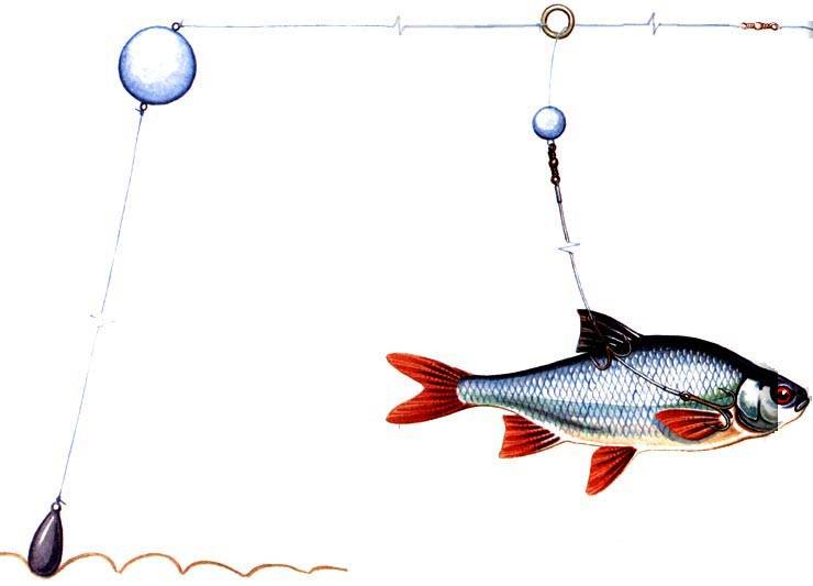 Ловля спиннингом на живца: оснащение удочки и способы рыбалки