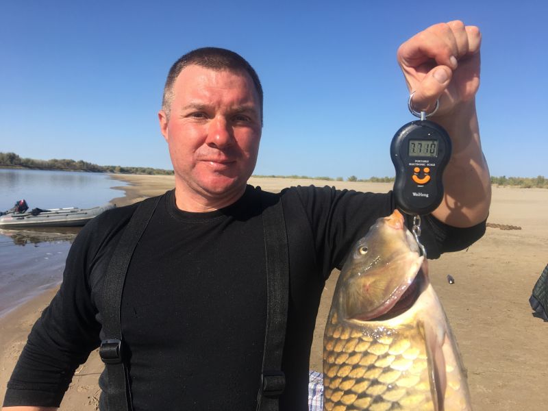 Рыбалка на волге в ульяновске