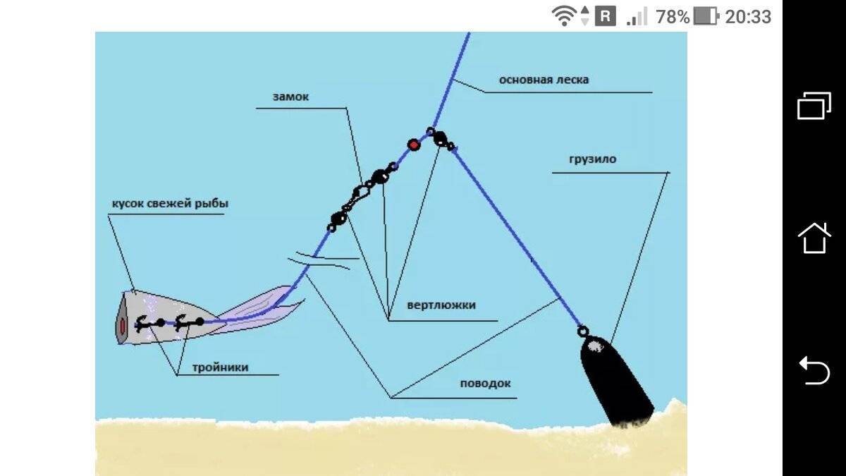 Отводной поводок на судака: ловля на течении, способы монтажа оснастки для спиннинга и видео