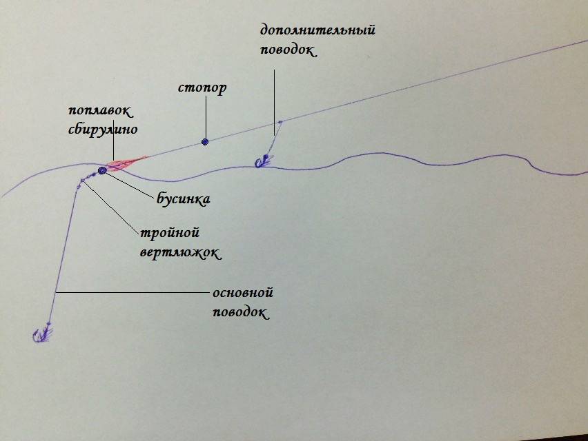 Снасти для ловли форели: на спиннинг, нахлыстом, на поплавок и донку