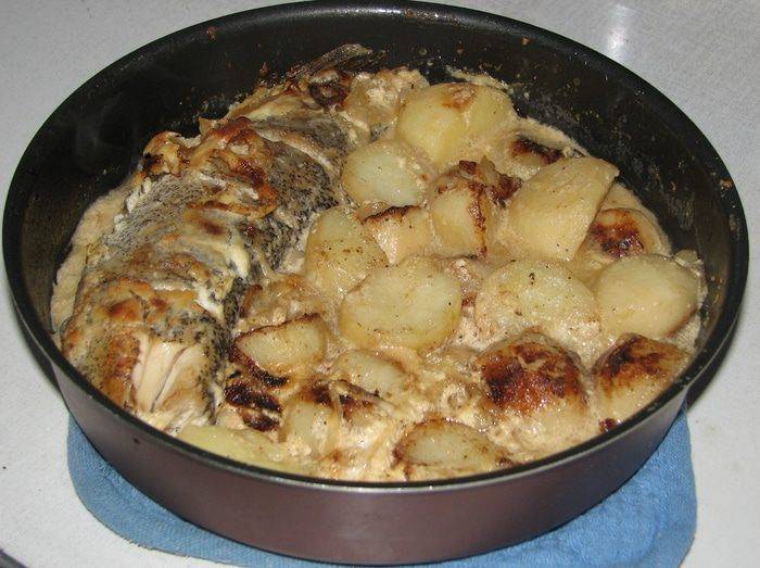 Как пожарить щуку на сковородке