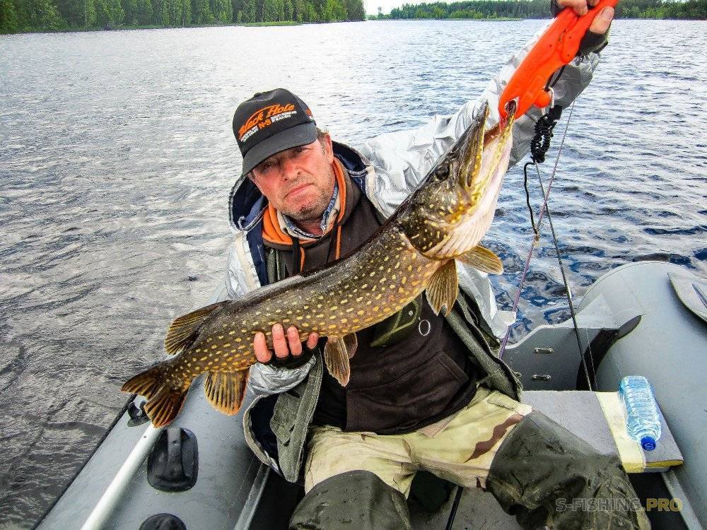 Рыбалка в финляндии: финский край — рыбацкий рай - это финляндия