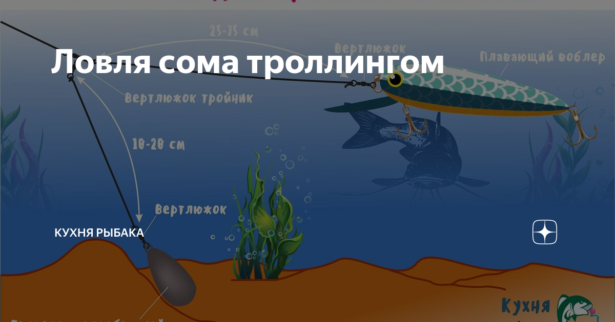 Ловля сома троллингом на воблеры