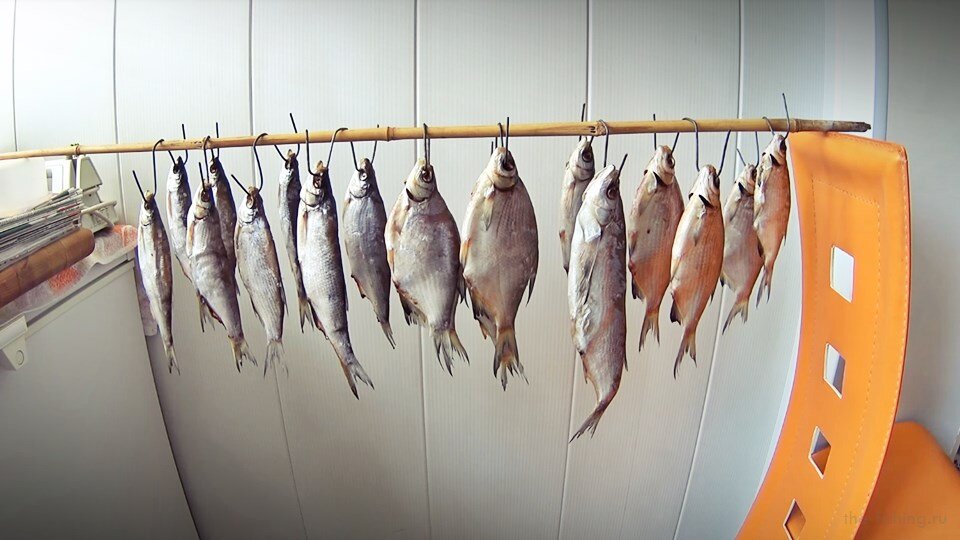 Как засолить чехонь? самые вкусные рецепты!