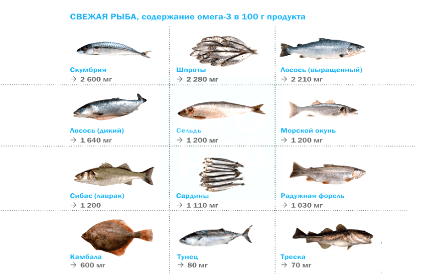 Рыба жирная: список от дорогой к дешевой