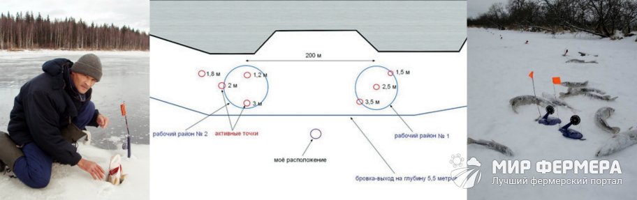 Как ловить щуку по первому льду?