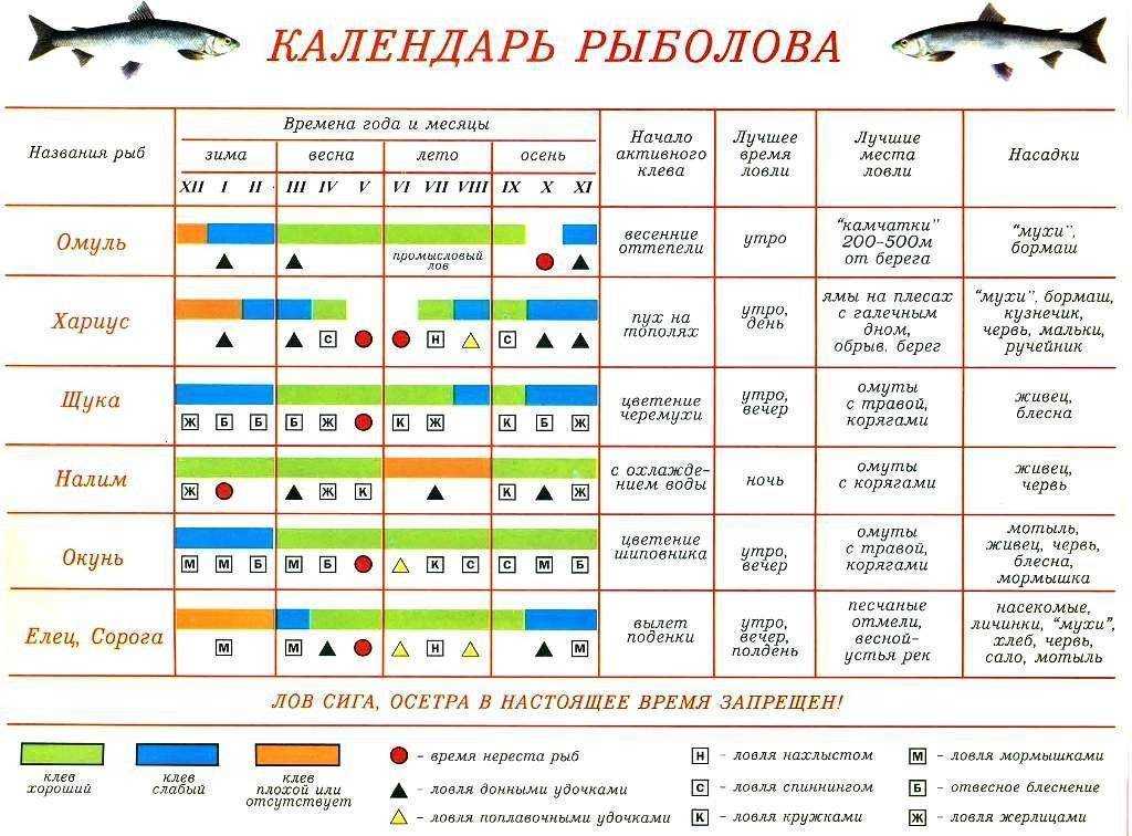 Щука в апреле на малых реках