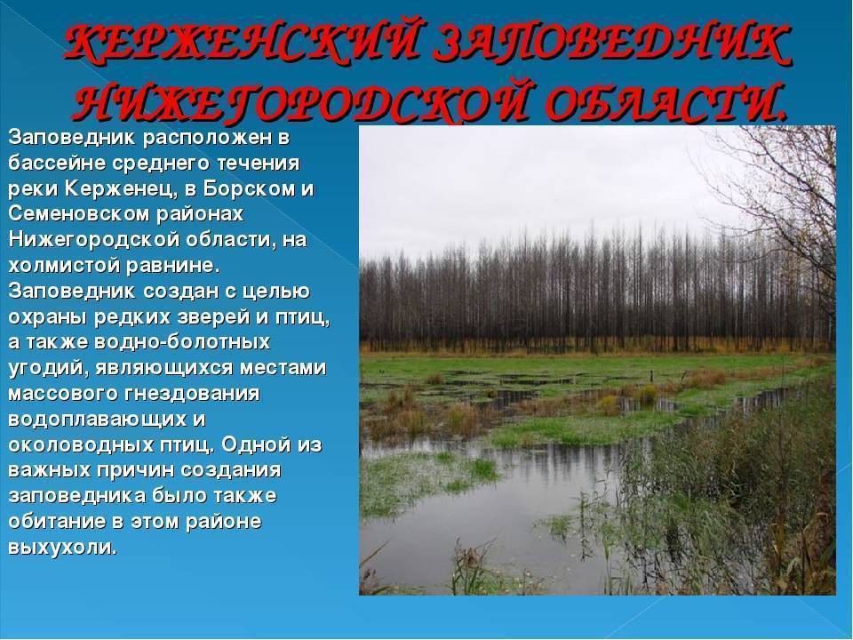 Эрзя (народ)