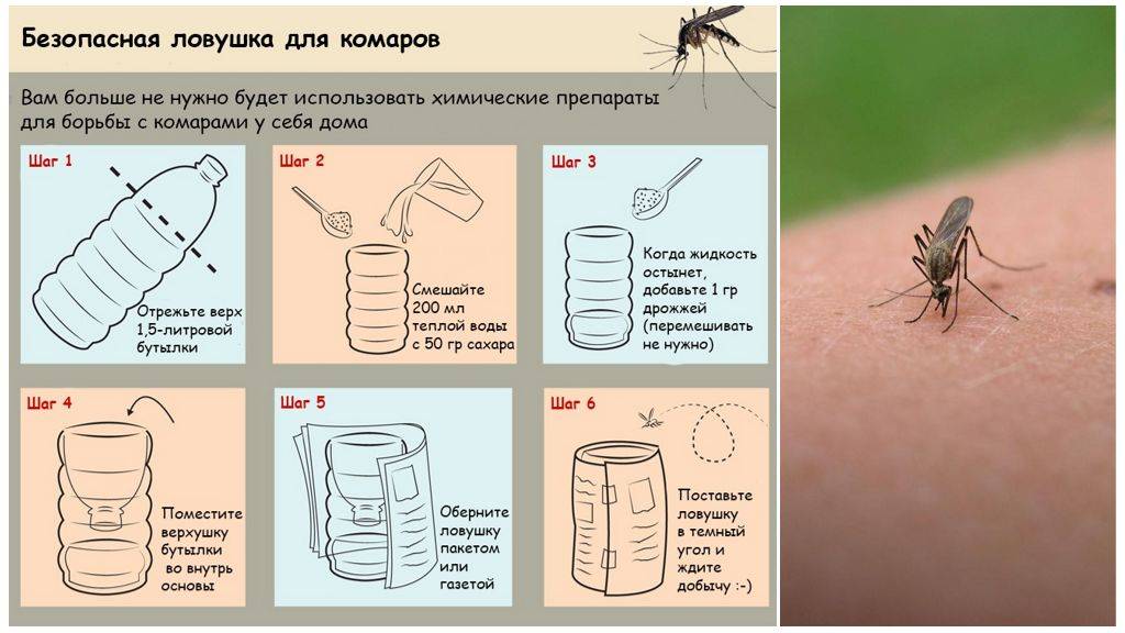 Народные средства против комаров — domovod.guru