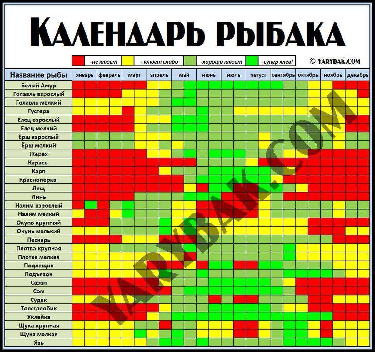 Почему не клюет рыба. почему рыба не клюёт 6 причин бесклёвья рыбы. | здоровое питание