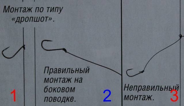 Где Купить Карася Для Рыбалки На Корюшку