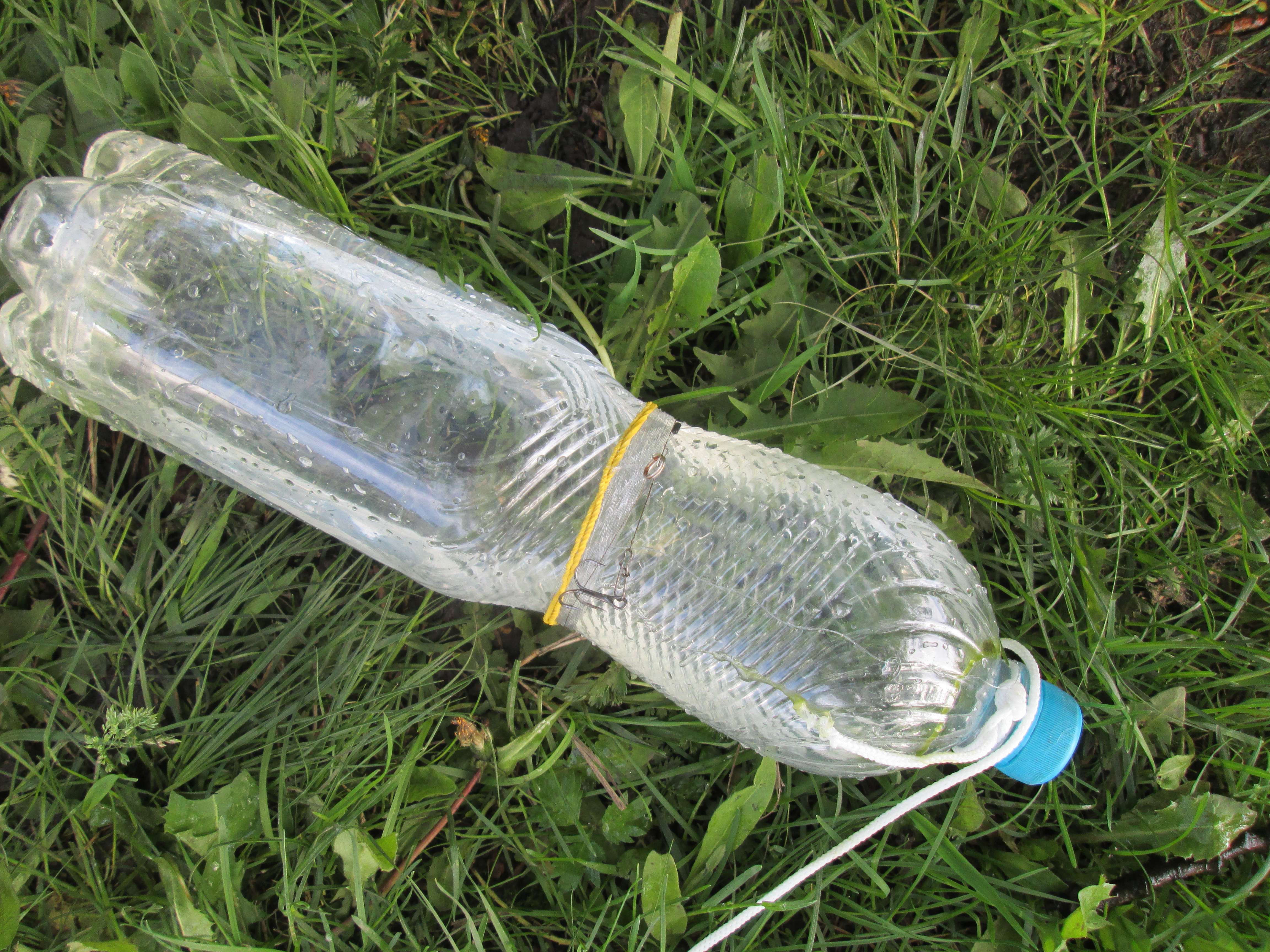 Мышеловка из пластиковой бутылки своими руками: видео, фото