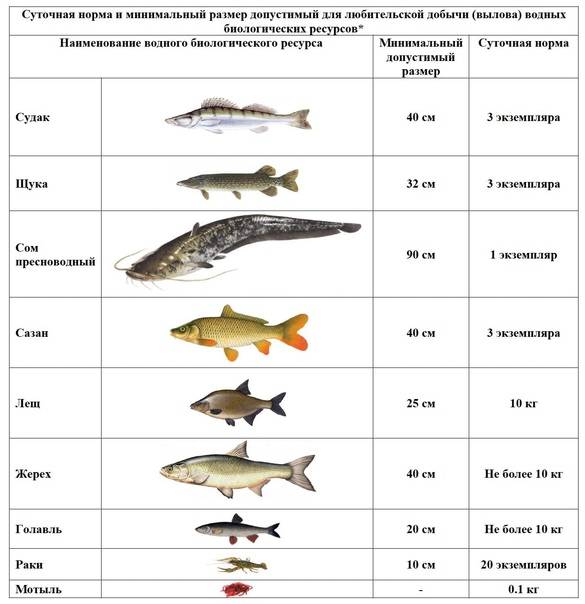 Правила рыбалки в россии