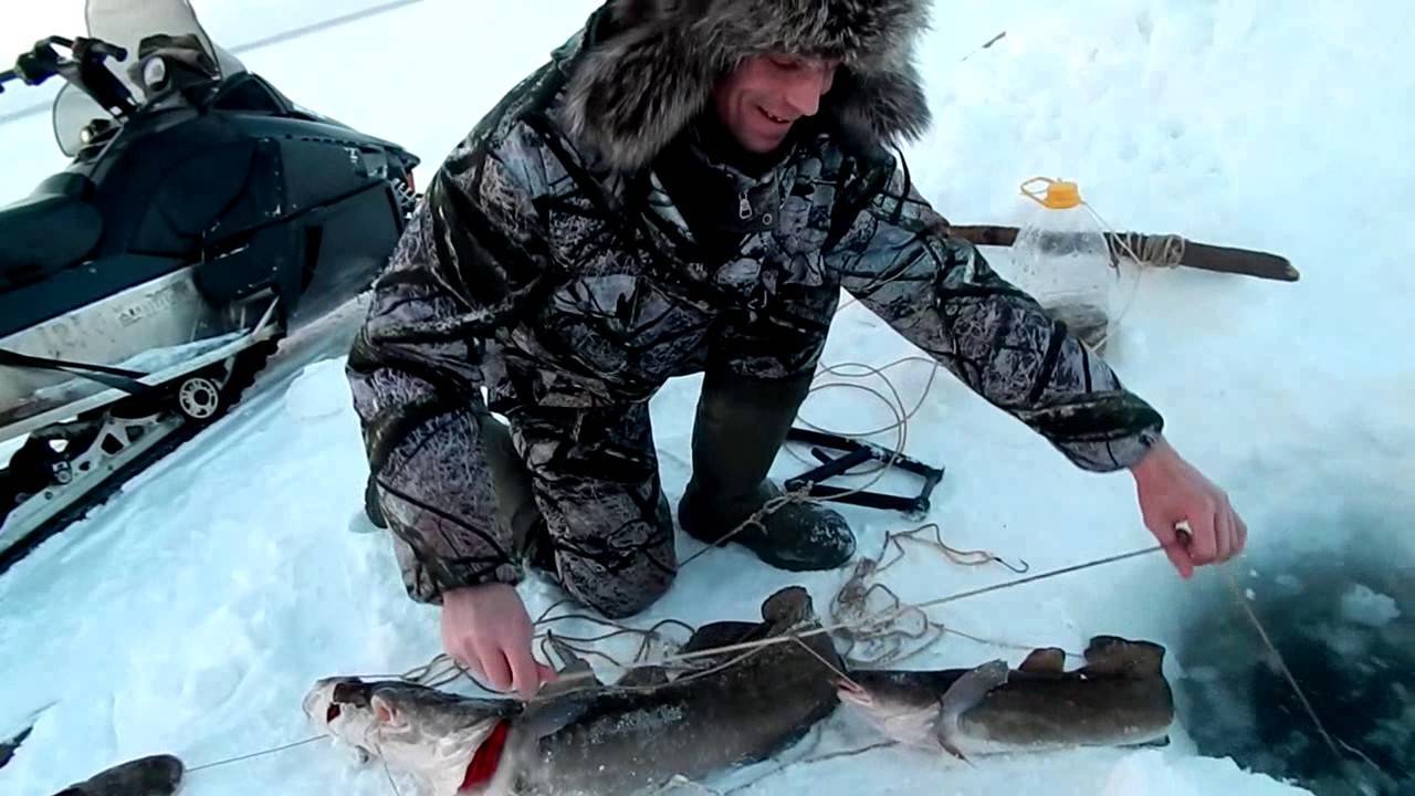 Ловля налима зимой - где искать, как ловить и на что