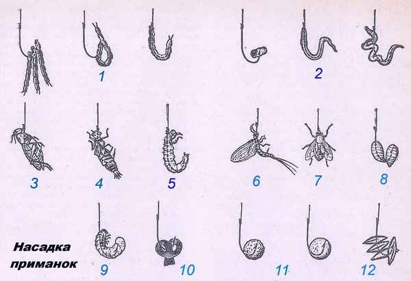 Как правильно насаживать червя на крючок?