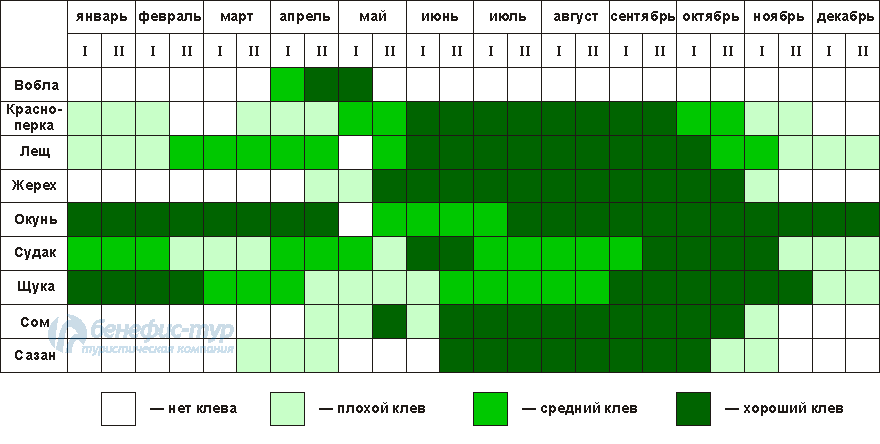 Клев набережные челны. Таблица активности рыбы по месяцам. Календарь рыболова. Таблица клева рыбы. Календарь рыбалки в Астрахани.