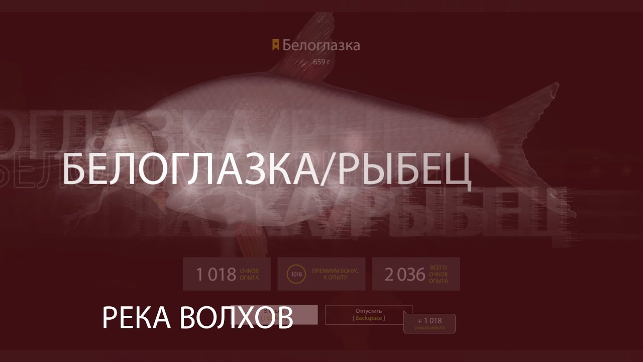 Ловля белоглазки летом – рыбалке.нет