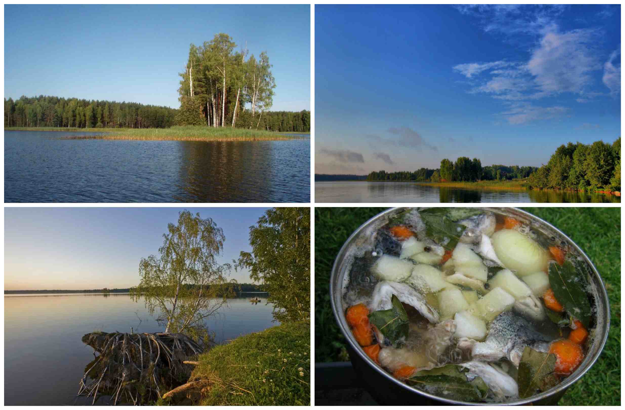Валдайское озеро: рыбалка и какая рыба водится