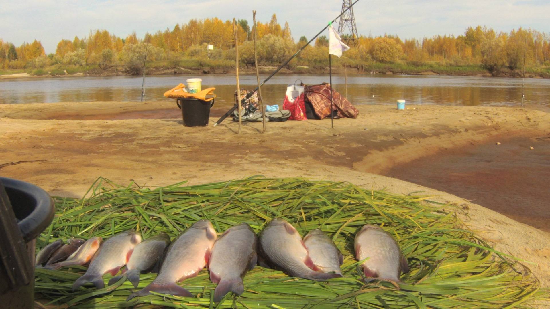 Рыбалка в раменском районе (московская область) - платная и бесплатная