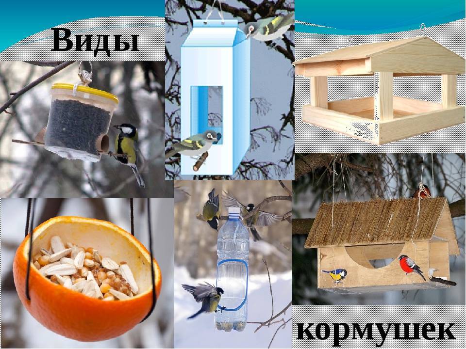 Как сделать кормушку для птиц своими руками? – 8 простых инструкций из подручных материалов