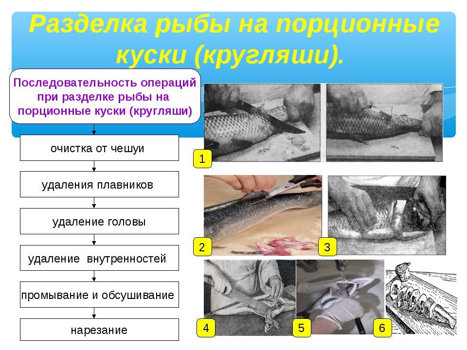 Сушеная рыба: как и сколько солить рыбу перед сушкой