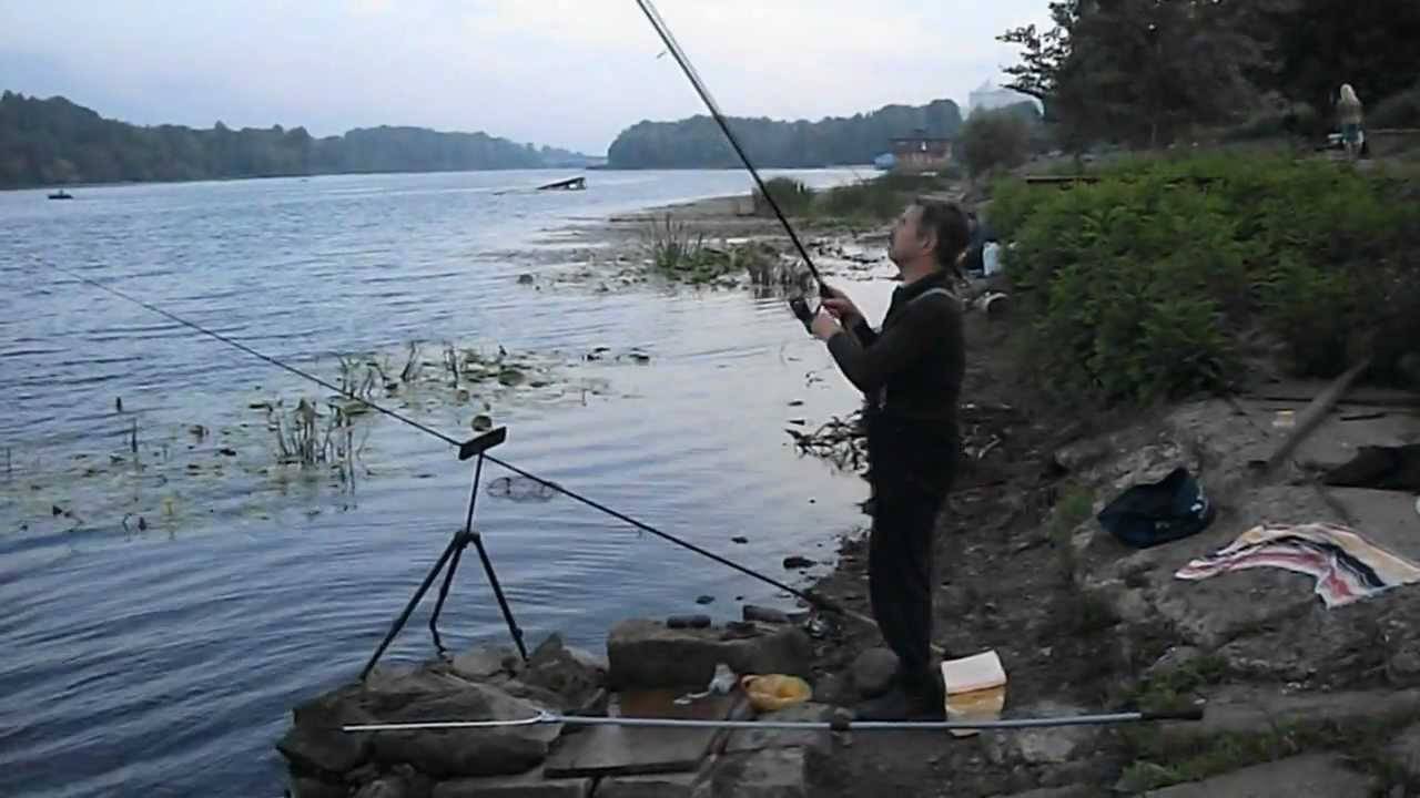 Ловля карпа на поплавочную удочку: видео - приманка, прикормка и снасть