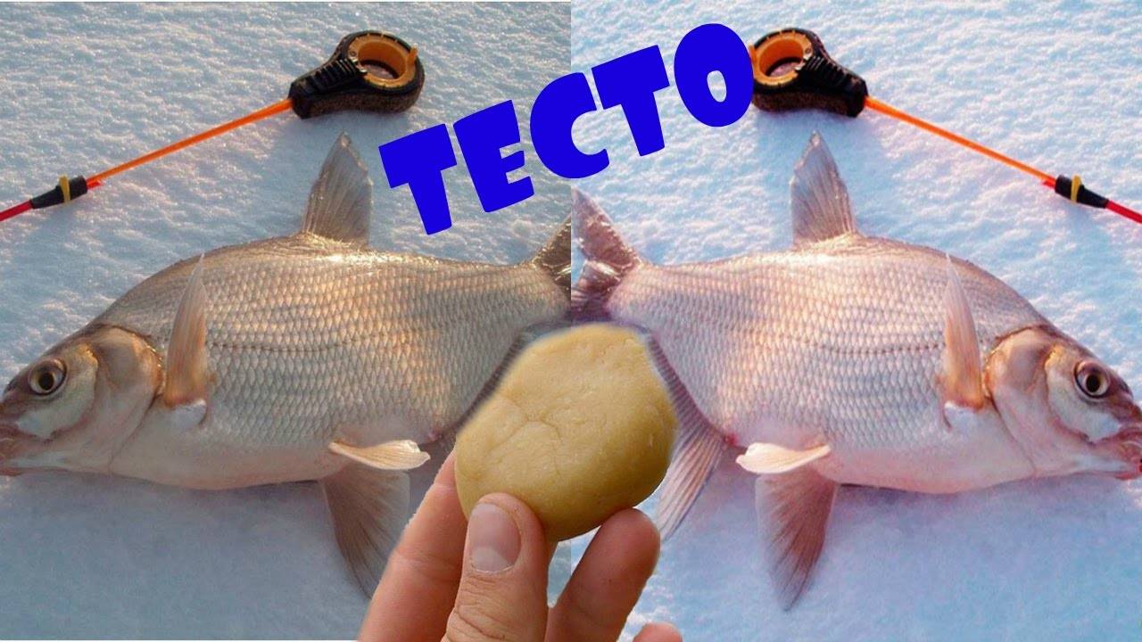 Тесто для рыбалки