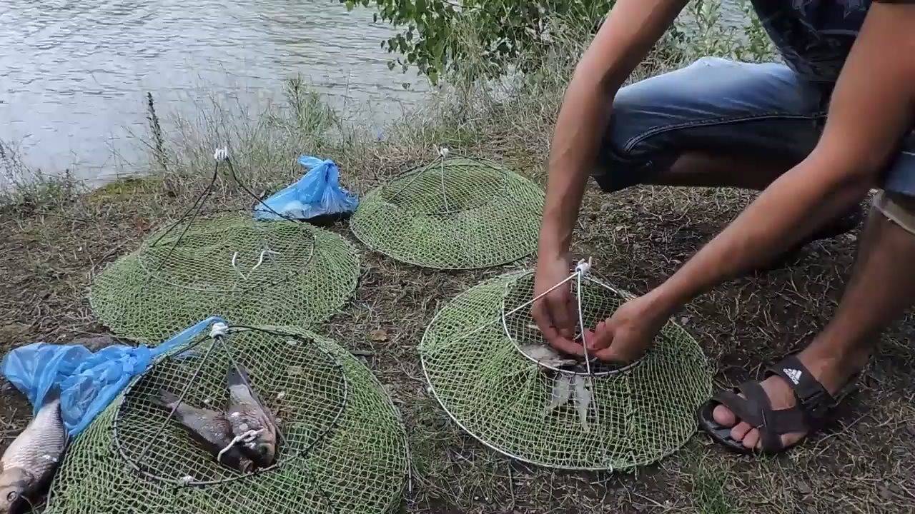 Ловля раков на чеснок: проверенные рецепты приманки, супер уловы