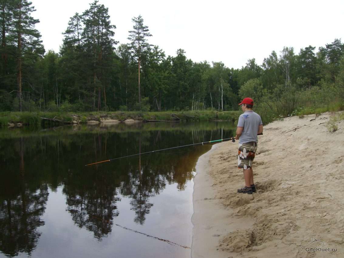 ᐉ проня - место для рыбака - ✅ ribalka-snasti.ru