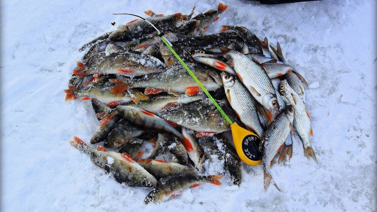 Зимняя рыбалка в пермском крае