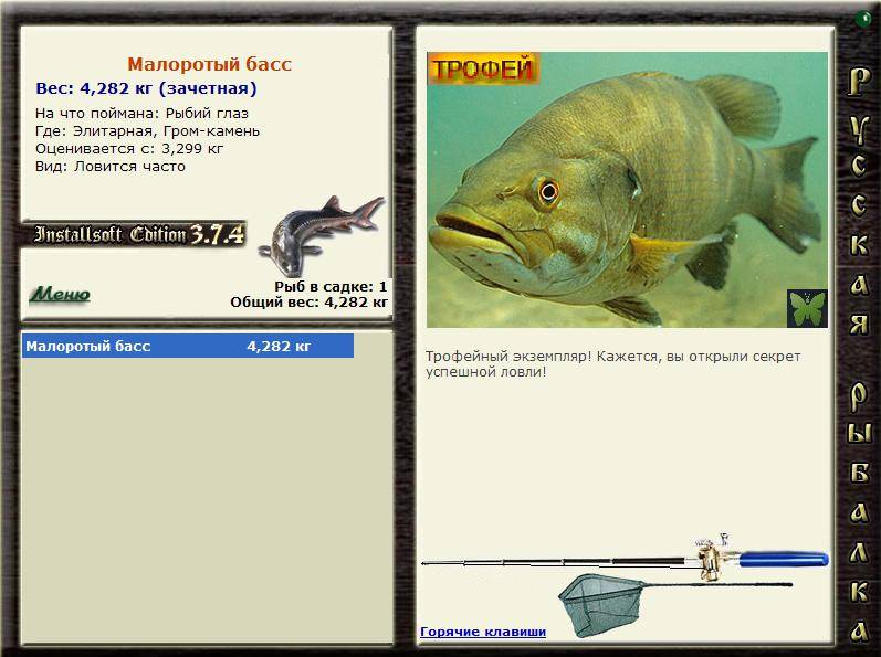 Удивительная рыба с прозрачной головой – 9 фото - картинки
