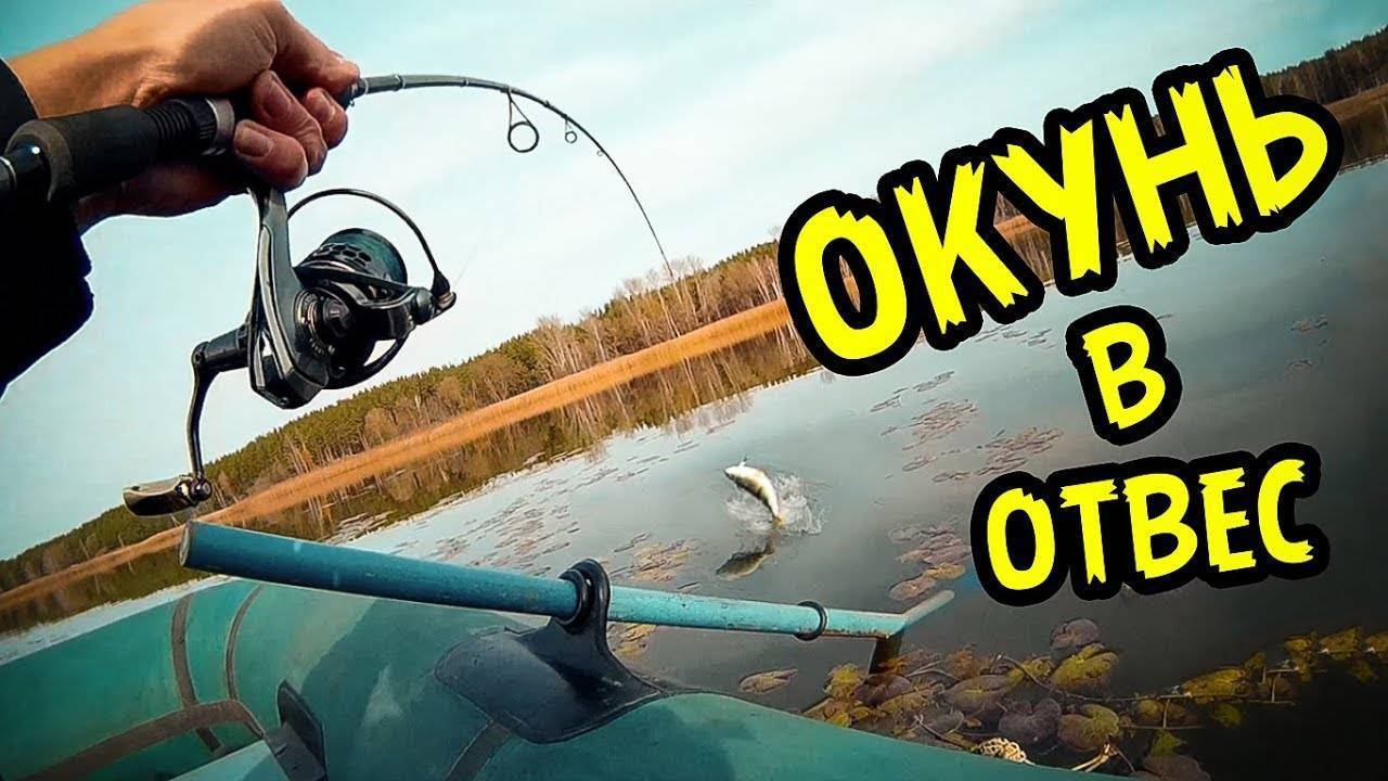 Ловля судака отвесным блеснением - спортивное рыболовство