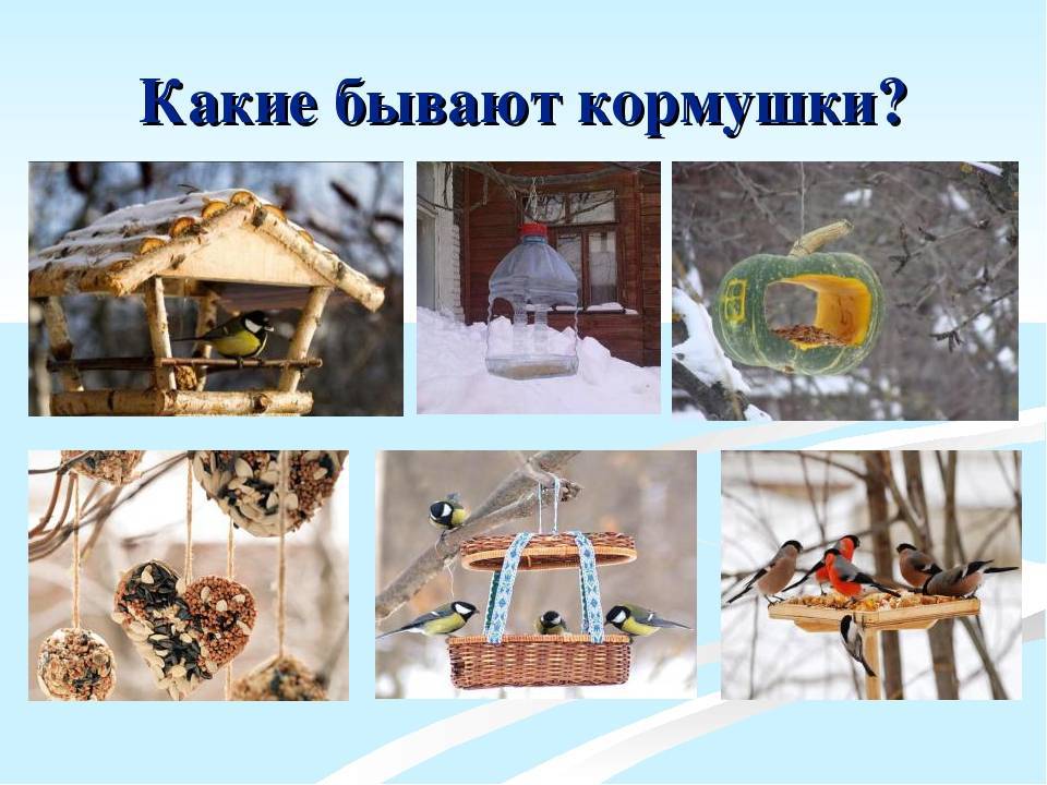 Оригинальные кормушки своими руками – фото, идеи