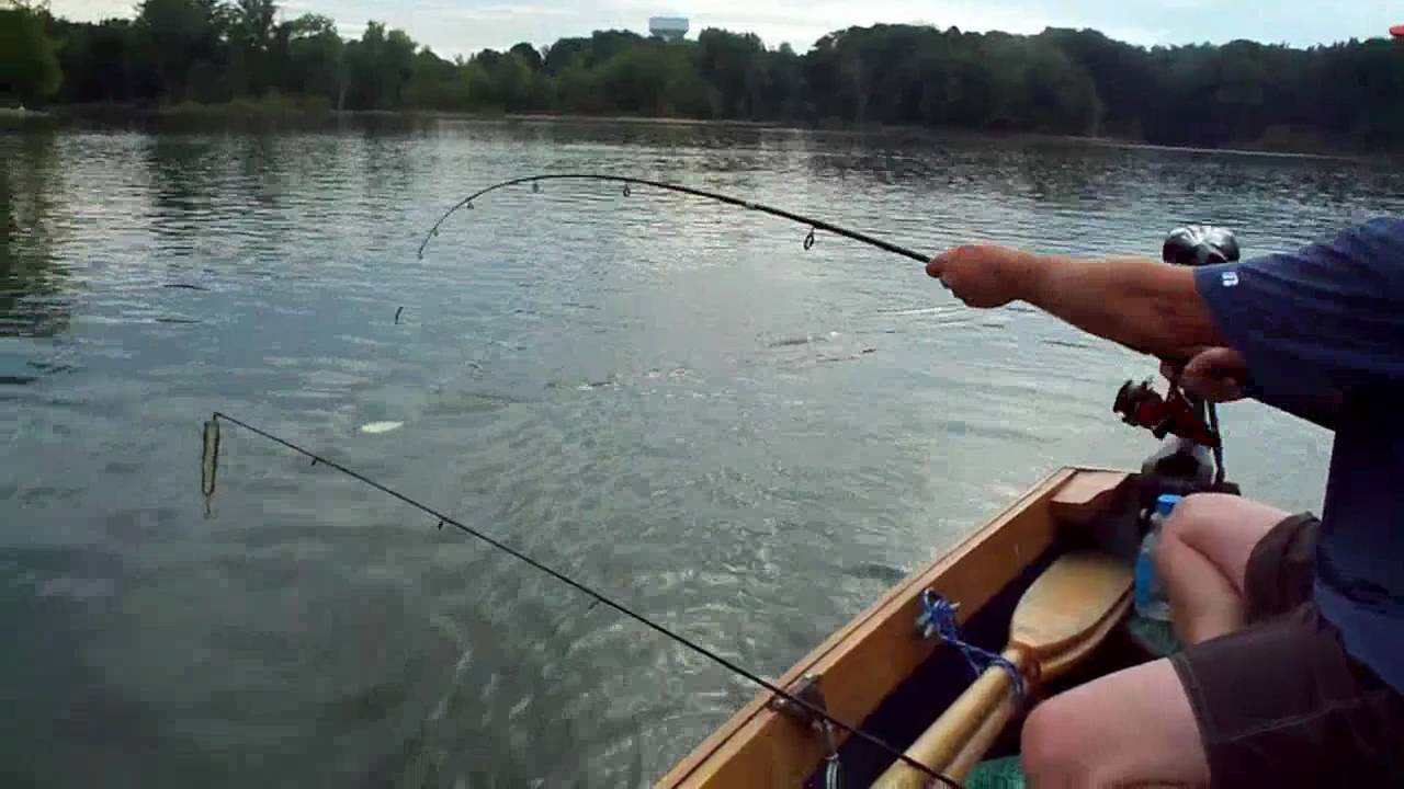Троллинг: рыбалка для начинающих. рыбалка троллингом на лодке