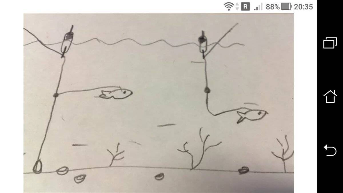 Оснастка для ловли на живца с берега - суперулов - интернет-портал о рыбалке