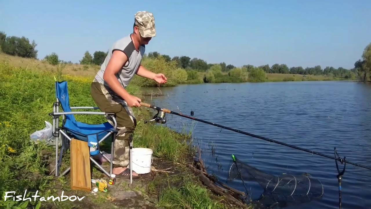Рыбалка в курской области - платные и бесплатные пруды, видео с соревнований