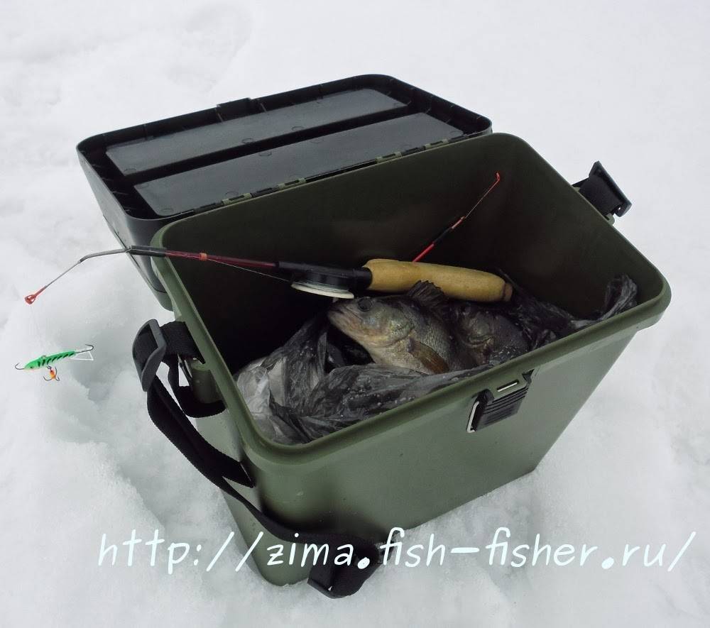 Зимняя рыбалка для начинающих - с чего начать и сразу ловить