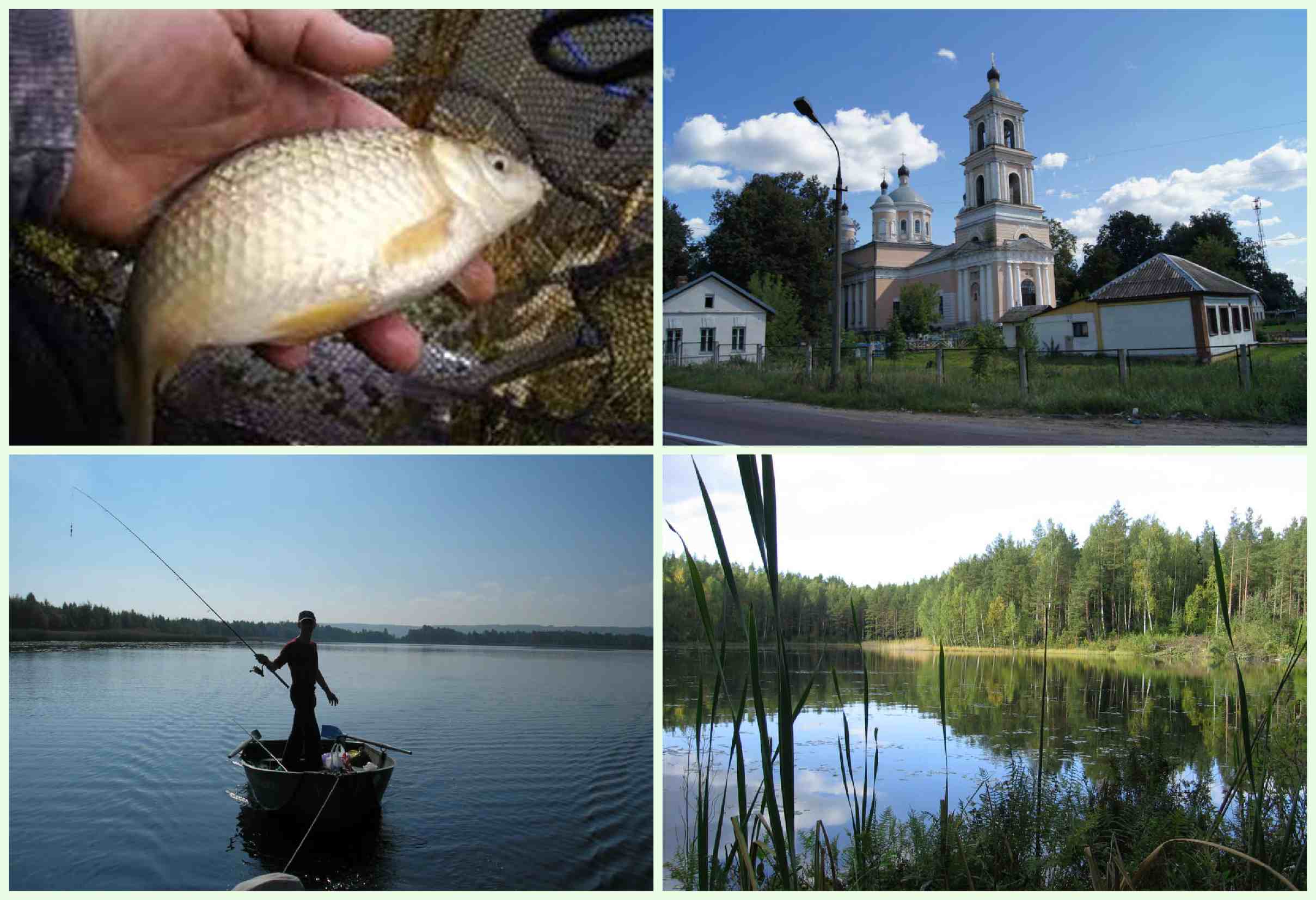 Клинский рыбхоз: платная рыбалка на участках | клуб рыбака