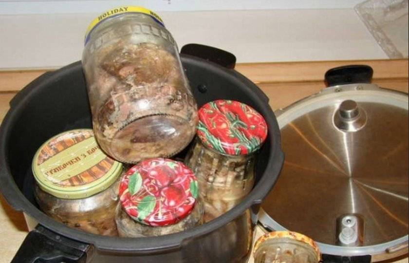 Рыбные консервы в мультиварке в домашних условиях, рецепты из речной рыбы в скороварке