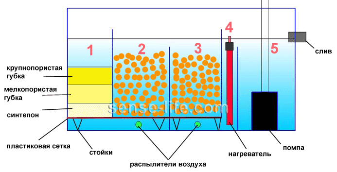 Фитофильтр для аквариума: топ 5 растений, как сделать своими руками