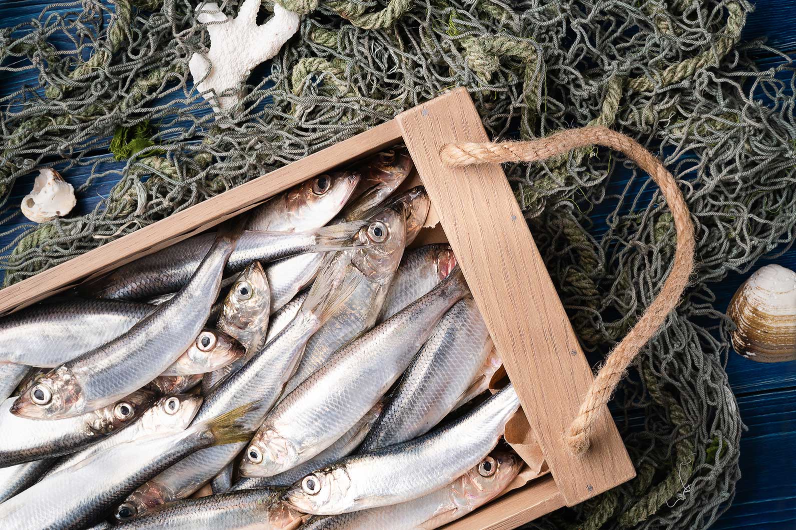 Салака: польза, вред и калорийность рыбы | food and health