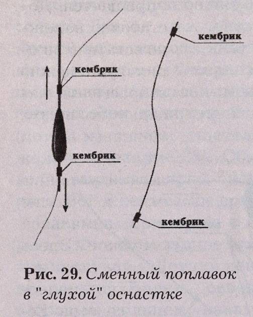 Форель на поплавок.