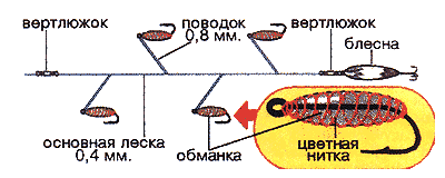 Ловля жереха осенью на спиннинг: снасть, приманки, как ловить