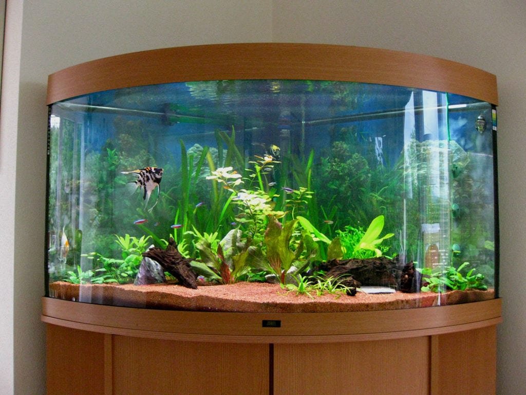 Красивые аквариумы