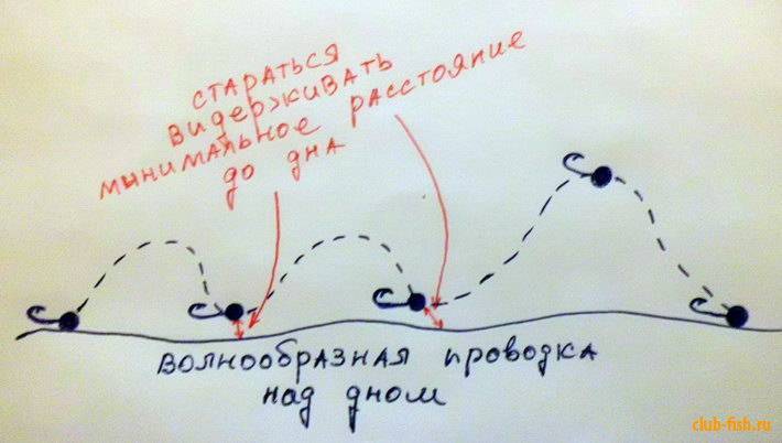 Спиннинговые проводки, их способы и методы, техника ловли спиннингом