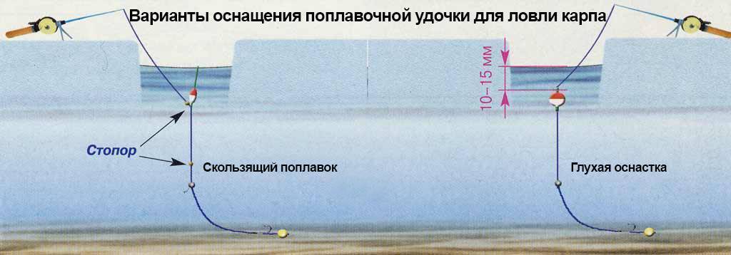 Как ловить сазана зимой - рыболовная база завидово