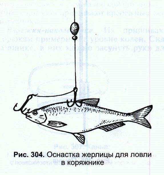 Ерш: повадки и способы ловли