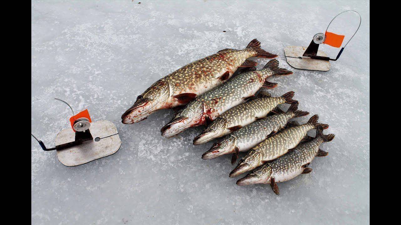 Ловля рыбы по последнему льду на реке